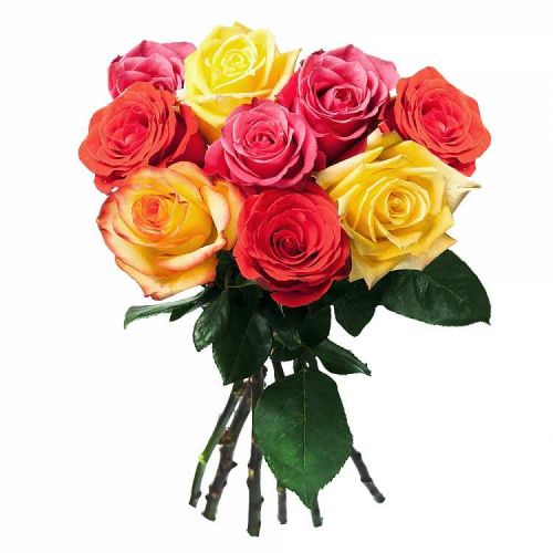 Заказать с доставкой 9 разноцветных роз в Азовское